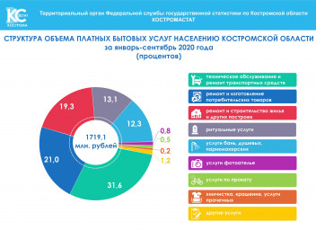 Платные услуги 2023. Структура платных услуг. Структура бытовых услуг населению. Платные услуги населению. Бытовое обслуживание населения это.